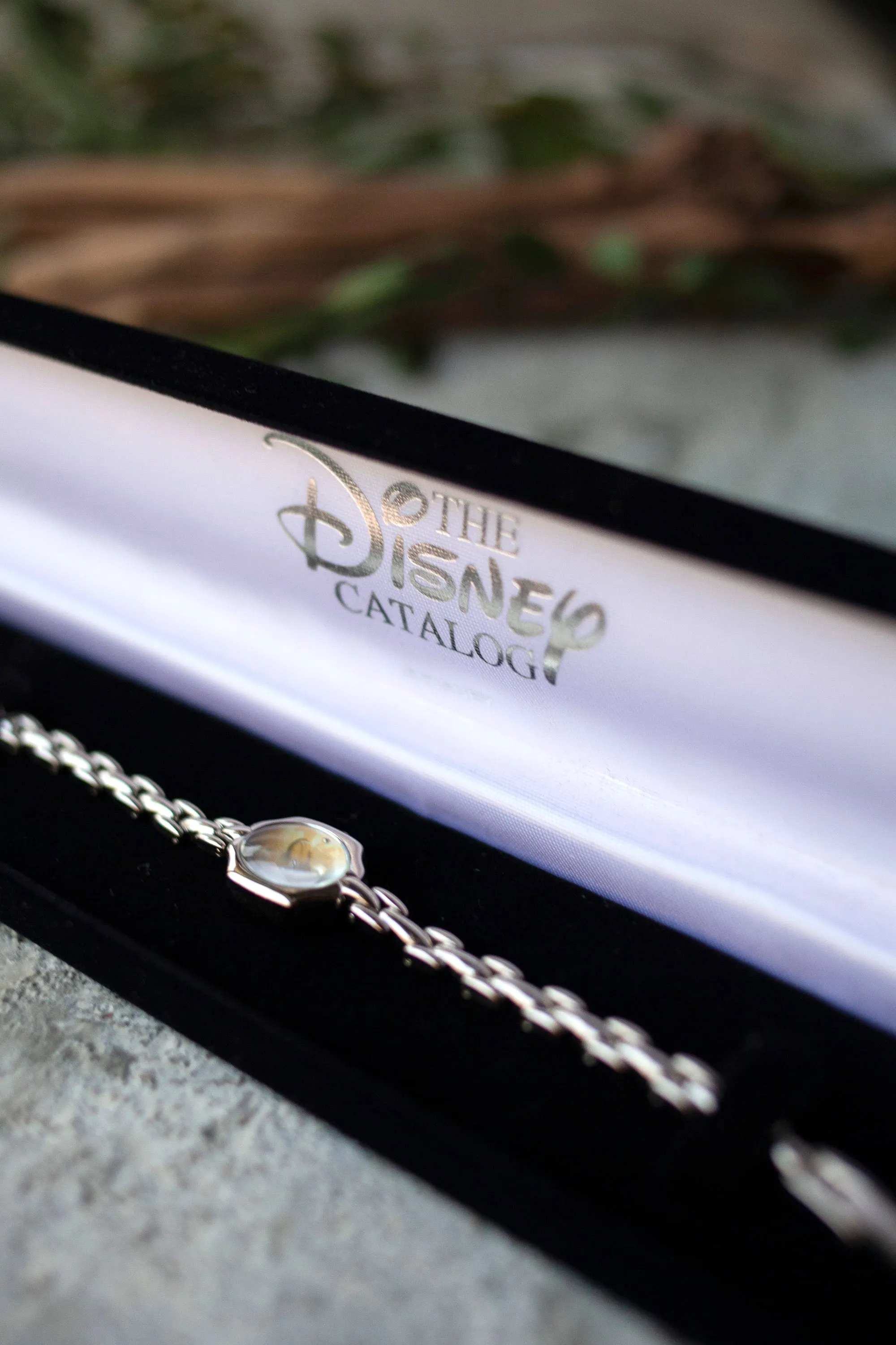 Premium Vintage: Cinderella's Portrait